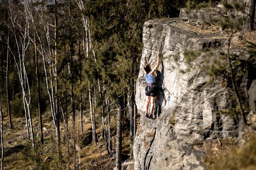 Politické strategie pro zelenější ČR: Efektivní kroky a výzvy