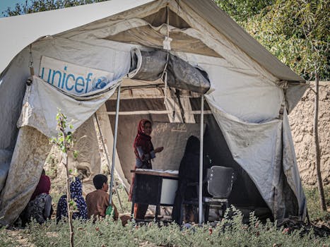 Vliv neziskových organizací na českou politiku a společnost