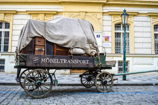 Jak efektivně financovat politické kampaně v ČR: Průvodce a trendy